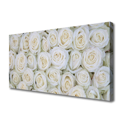 Canvas Kunstdruck Rosen Pflanzen