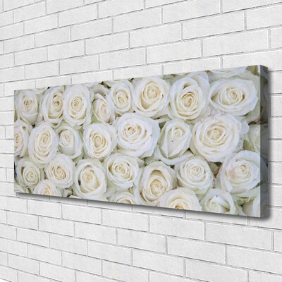 Canvas Kunstdruck Rosen Pflanzen