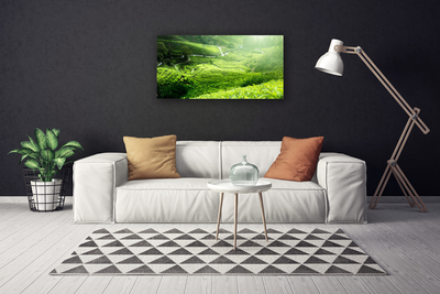 Canvas Kunstdruck Wiese Natur