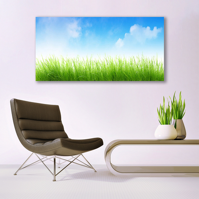 Canvas Kunstdruck Gras Natur