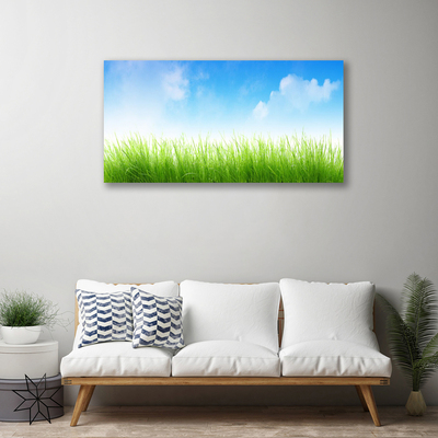 Canvas Kunstdruck Gras Natur