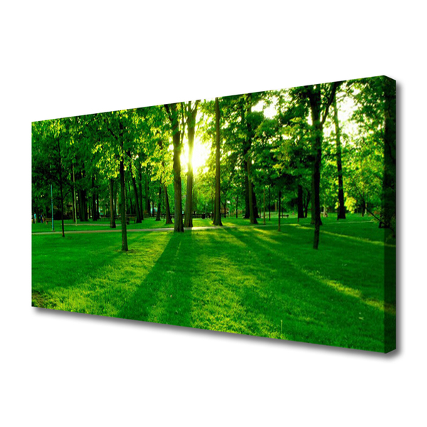 Canvas Kunstdruck Wald Natur