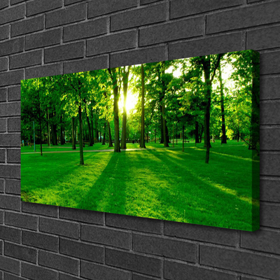 Canvas Kunstdruck Wald Natur