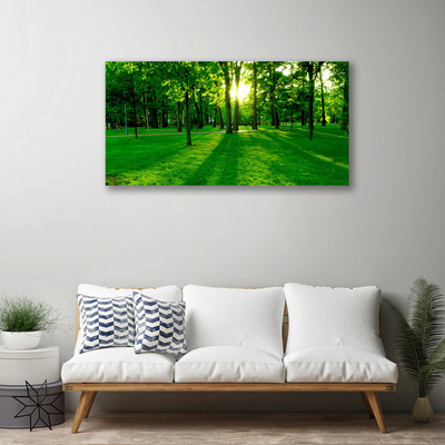 Canvas Kunstdruck Wald Natur