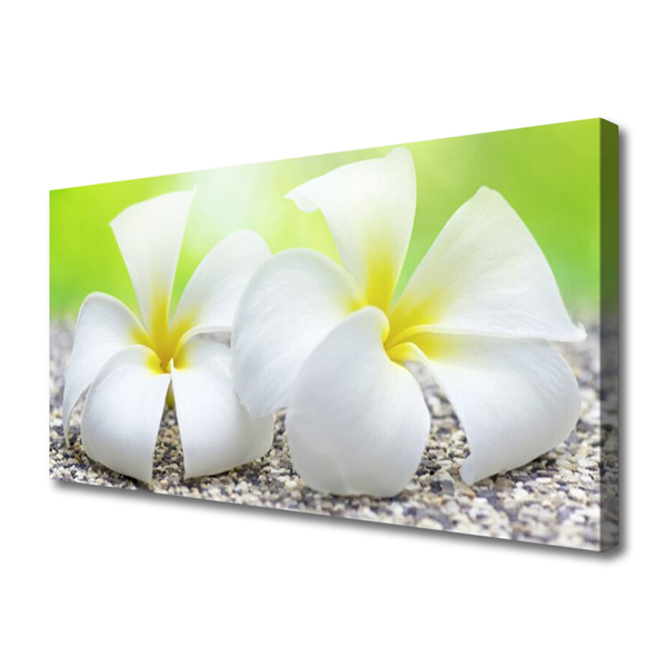 Canvas Kunstdruck Blumen Pflanzen