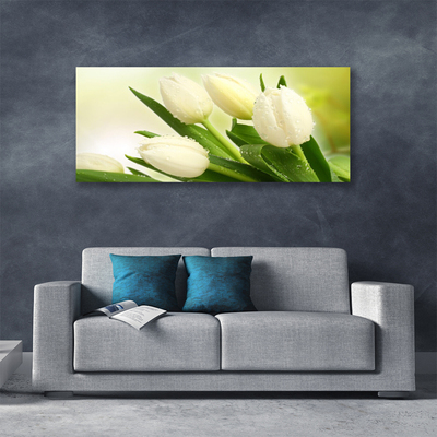 Canvas Kunstdruck Tulpen Pflanzen