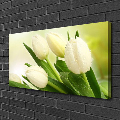 Canvas Kunstdruck Tulpen Pflanzen