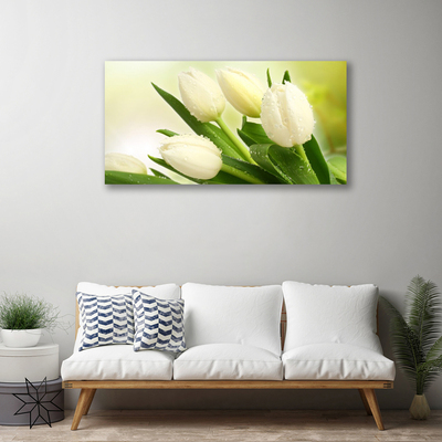 Canvas Kunstdruck Tulpen Pflanzen