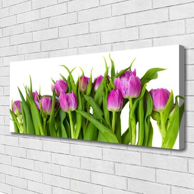 Canvas Kunstdruck Tulpen Pflanzen