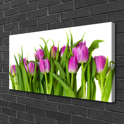 Canvas Kunstdruck Tulpen Pflanzen