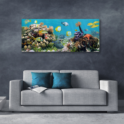 Canvas Kunstdruck Korallenriff Natur
