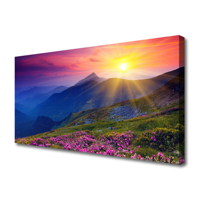 Canvas Kunstdruck Gebirge Blumen Wiese Landschaft