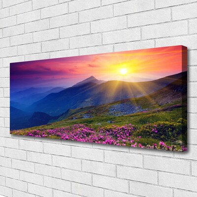 Canvas Kunstdruck Gebirge Blumen Wiese Landschaft