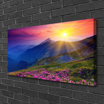 Canvas Kunstdruck Gebirge Blumen Wiese Landschaft