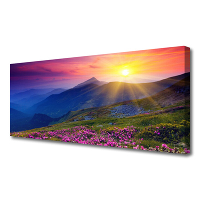 Canvas Kunstdruck Gebirge Blumen Wiese Landschaft