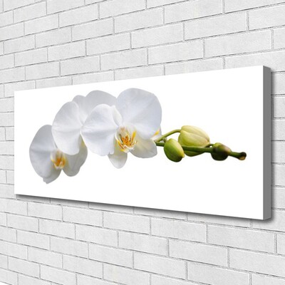 Canvas Kunstdruck Blumen Pflanzen