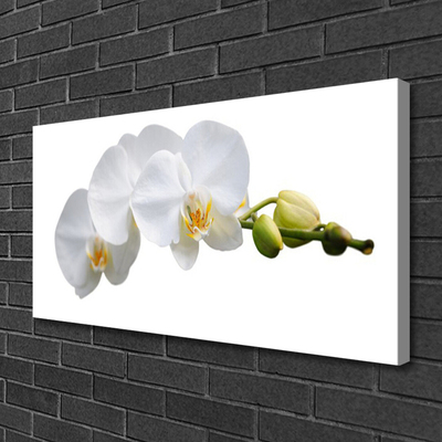 Canvas Kunstdruck Blumen Pflanzen