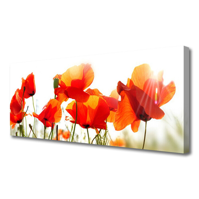 Canvas Kunstdruck Mohnblumen Pflanzen