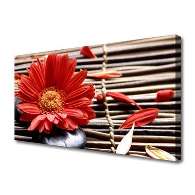 Canvas Kunstdruck Blume Pflanzen