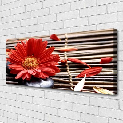 Canvas Kunstdruck Blume Pflanzen