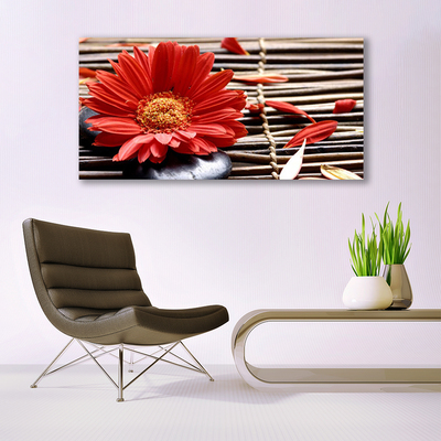 Canvas Kunstdruck Blume Pflanzen