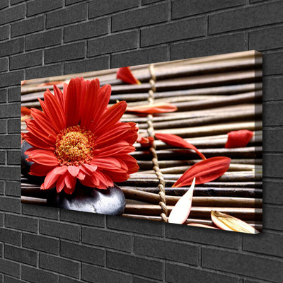 Canvas Kunstdruck Blume Pflanzen