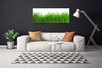 Canvas Kunstdruck Gras Natur