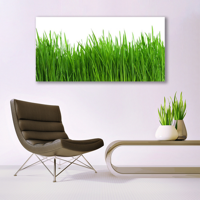 Canvas Kunstdruck Gras Natur