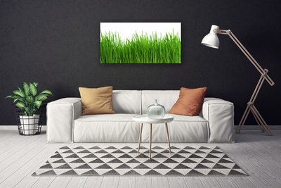 Canvas Kunstdruck Gras Natur