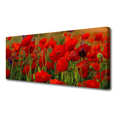 Canvas Kunstdruck Mohnblumen Pflanzen