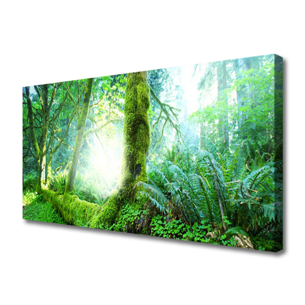 Canvas Kunstdruck Wald Natur