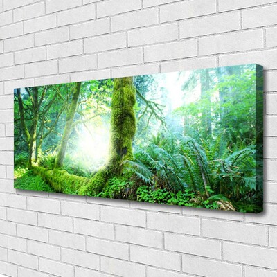 Canvas Kunstdruck Wald Natur