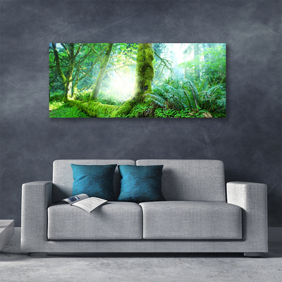 Canvas Kunstdruck Wald Natur