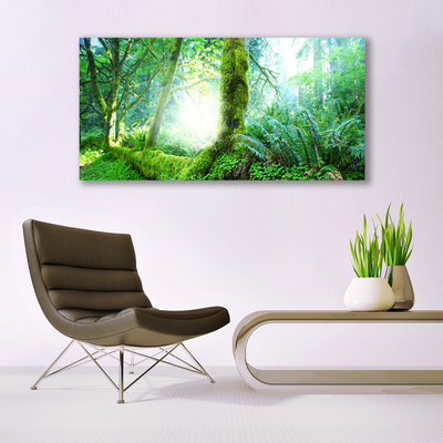 Canvas Kunstdruck Wald Natur