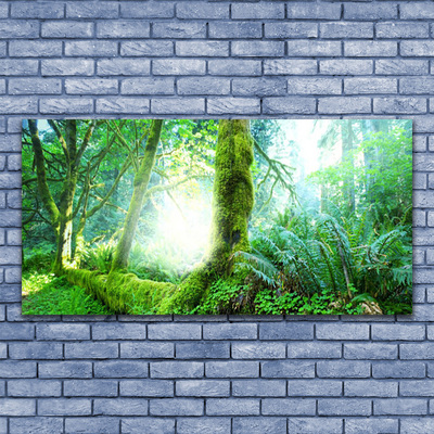 Canvas Kunstdruck Wald Natur