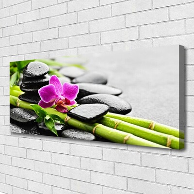 Canvas Kunstdruck Bambusrohre Blume Steine Kunst