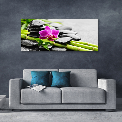 Canvas Kunstdruck Bambusrohre Blume Steine Kunst