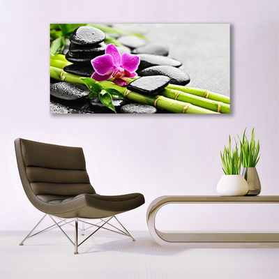 Canvas Kunstdruck Bambusrohre Blume Steine Kunst