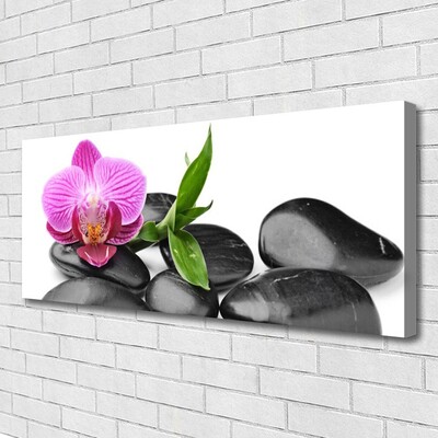 Canvas Kunstdruck Blume Steine Kunst