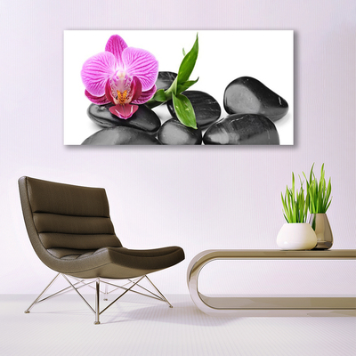 Canvas Kunstdruck Blume Steine Kunst