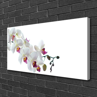 Canvas Kunstdruck Blumen Pflanzen