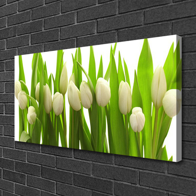 Canvas Kunstdruck Tulpen Pflanzen