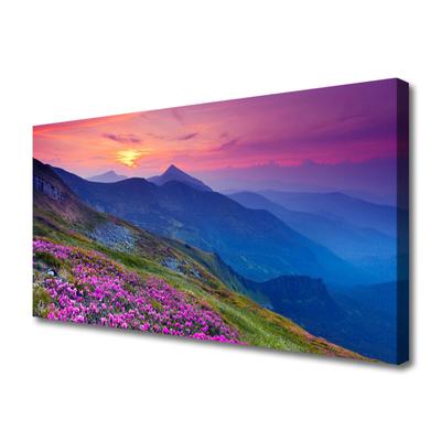 Canvas Kunstdruck Gebirge Wiese Blumen Landschaft