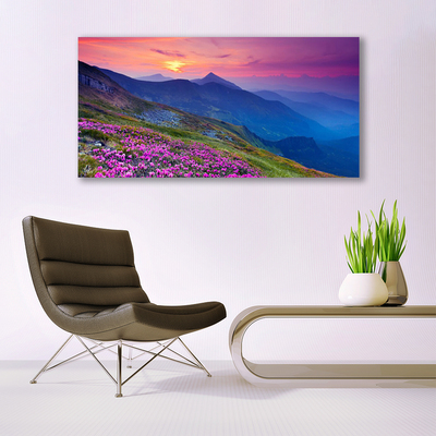 Canvas Kunstdruck Gebirge Wiese Blumen Landschaft