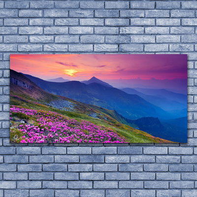 Canvas Kunstdruck Gebirge Wiese Blumen Landschaft