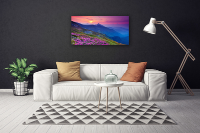 Canvas Kunstdruck Gebirge Wiese Blumen Landschaft