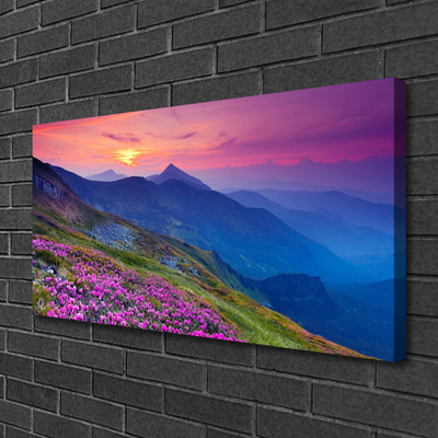 Canvas Kunstdruck Gebirge Wiese Blumen Landschaft