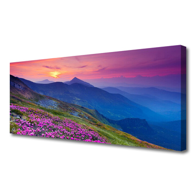 Canvas Kunstdruck Gebirge Wiese Blumen Landschaft