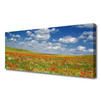 Canvas Kunstdruck Wiese Blumen Landschaft