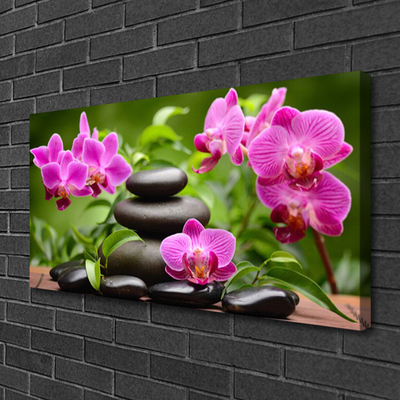 Canvas Kunstdruck Blumen Steine Kunst